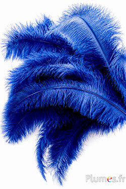 Struisvogel - 32-42 cm - grijs-donkerblauw